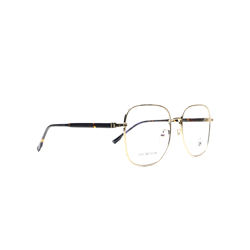 Product Model Image